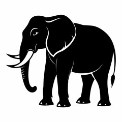 elephant isolated on white background