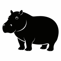 hippopotamus isolated on white