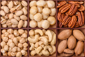 Box with various nuts cashew, macadamia, peanut, cedar, pecan, walnut, brazil, hazelnut