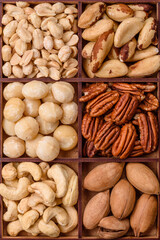 Box with various nuts cashew, macadamia, peanut, cedar, pecan, walnut, brazil, hazelnut