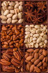 Box with various nuts cashew, macadamia, peanut, cedar, pecan, walnut, brazil, hazelnut