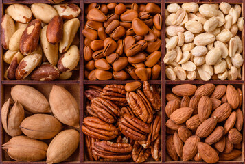 Box with various nuts cashew, macadamia, peanut, cedar, pecan, walnut, brazil, hazelnut