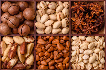 Box with various nuts cashew, macadamia, peanut, cedar, pecan, walnut, brazil, hazelnut