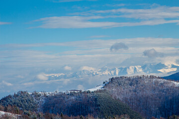 Fototapeta premium Winter time