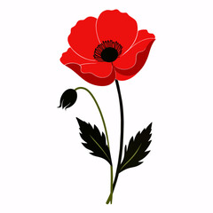 red poppy flower