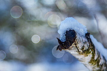 Winter time in Paltinis, Romania