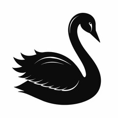 black swan vector illustration