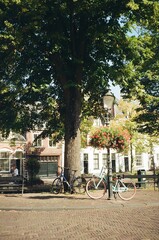 Fototapeta premium bicycles in a dutch city