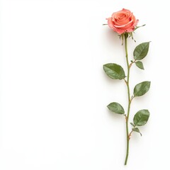 A beautiful pink rose with green leaves on a simple background, symbolizing love and elegance.