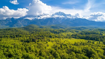 Obraz premium Majestic Mountain Range and Lush Forest Landscape