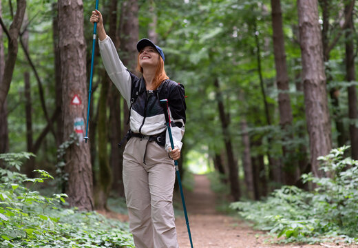Young woman tourist with backpack and walking stick hiking the forest path