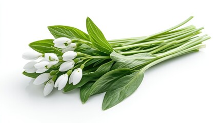 Obraz premium Close-Up of Snowdrop Flowers with Green Leaves on a Pristine White Background