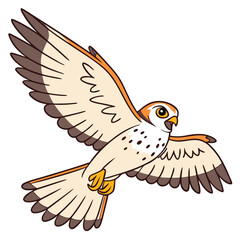 A cheerful kestrel hovering in mid-air with sharp, happy eyes Illustrator Artwork