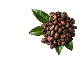 Unique Kopi Luwak coffee beans presented elegantly with green leaves isolated on a white background