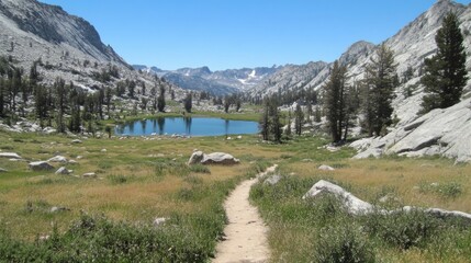 Serene Park Trail to Scenic Lake Surrounded by Pines