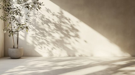 minimalist interior with a potted plant and soft sunlight casting natural shadows on a beige wall creating a calm atmosphere  

