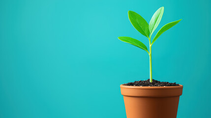 Obraz premium close up of seedling sprouting in terracotta pot against vibrant background, symbolizing growth and renewal