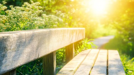 Naklejka premium Rustic Bench in Bright Sunlight with Scenic Background