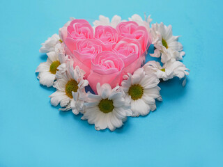 A heart made of six pink roses. The roses are surrounded by white daisies places on blue color simple background. Concept of love and affection. Abstract conceptual art.