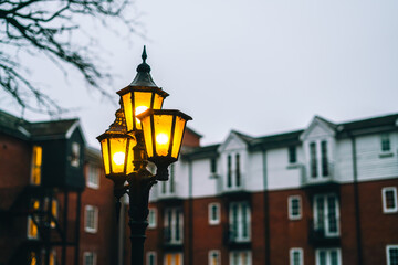 A charming vintage-style lamppost radiates a warm, golden glow amidst a serene winter park setting