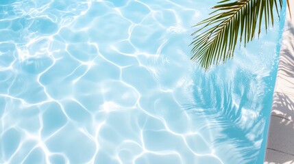 Pool with clear blue water and a palm tree in the background