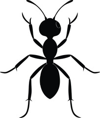Vector silhouette of ant on white background. 