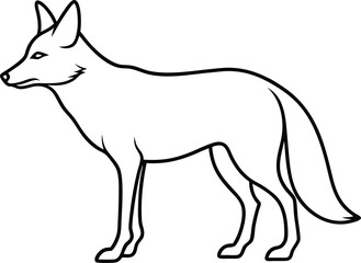 illustration of a fox