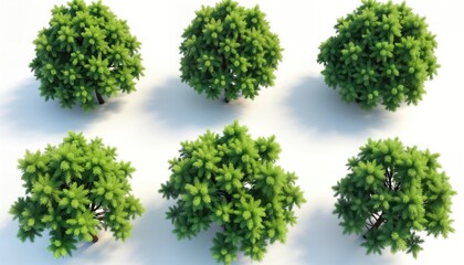 Fototapeta premium Top view of several vibrant green trees isolated against white background. Dense foliage, full growth showcase rich vegetation. Ideal for eco-friendly design projects nature-themed backgrounds.