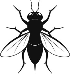 Vector hand drawn illustration of the big fly. 