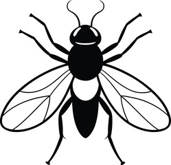 Vector engraving illustration of honey bee on white background.