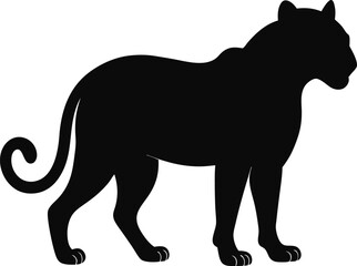 Jaguar outline and symbols. Dark level variety basic exquisite white foundation Leopard animal vector and silhouette