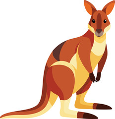 illustration of a kangaroo, Illustration of Kangaroo isolated on white background