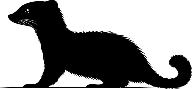 Silhouette of a mongoose isolated on a white background.