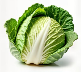 Fototapeta premium Fresh green cabbage isolated on white background. Close-up view of crisp head of cabbage. Vibrant green leaves encircle firm white core. Healthy, natural vegetable suitable for salads cooking. Image
