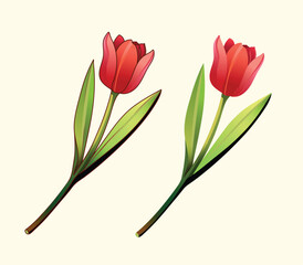 flower tulip vector hand-drawn illustration greeting wedding card spring color book 