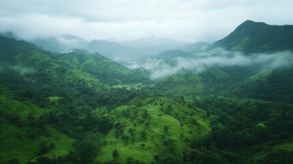 Misty Rolling Hills with Scenic Mountain Backdrop