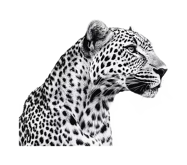 Fototapete Rund Wild Leopard in Nature Isolated on White Background © Nusrat