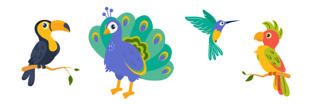 Colorful illustrations of exotic birds on branches in a whimsical style