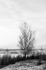 Lake Mjøsa and Hovinsholmen Island seen from Østbygda in December 2024.