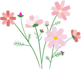 플라워,꽃,꽃송이,꽃잎,식물,코스모스,가을,봄,여름,나뭇잎,꽃다발,들꽃