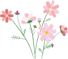 플라워,꽃,꽃송이,꽃잎,식물,코스모스,가을,봄,여름,나뭇잎,꽃다발,들꽃