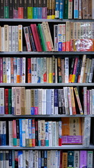 Libros biblioteca callejera © Joelmazzola