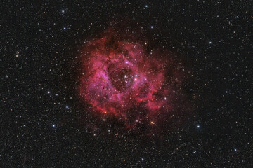 Real astrophotograph of Rosette Nebula, NGC 2237 a stunning emission nebula in the Monoceros constellation, rich in glowing hydrogen gas. High quality photo