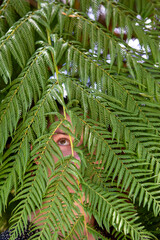 A person's eye peeks through lush green fern leaves, creating a playful and mysterious composition. The intricate details of the fern and natural light highlight the harmony between human and nature