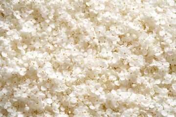 A bunch of small white flowers for decor and texture