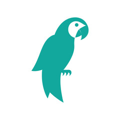 Parrot Logo in Blue, Green, & Red for Parakeet Playz