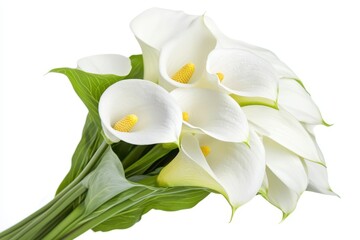 Close up of a calla flower against a white backdrop
