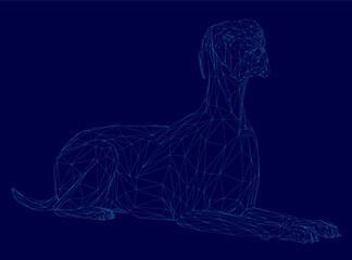Dog is laying on the ground in a blue background. The dog is looking at the camera