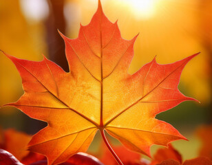 Close-Up of a Vibrant Maple Leaf with Detailed Veins and Rich Autumn Colors