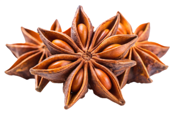 Aromatic Star Anise Spice, Culinary Herb, Fragrant Seeds